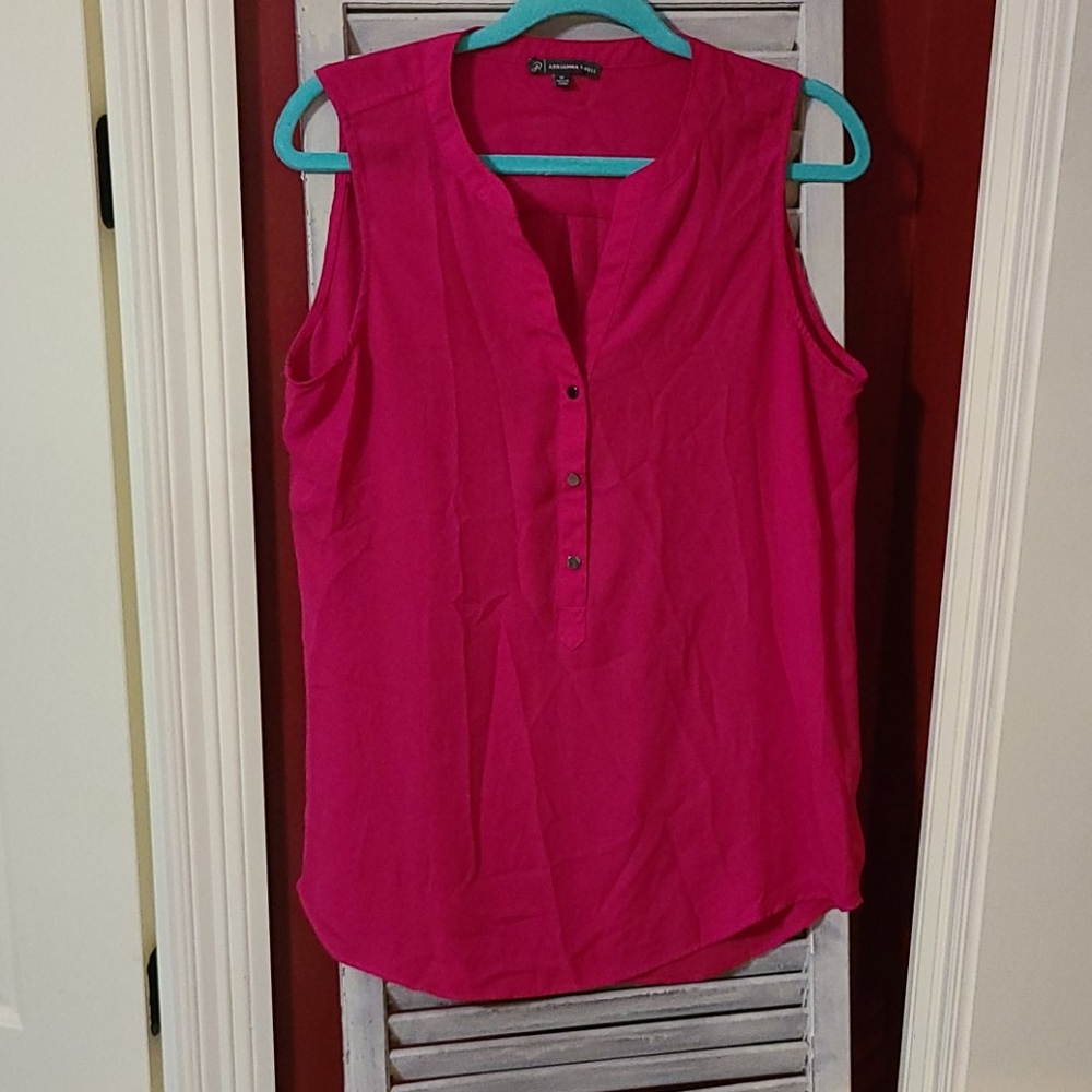 Adrianna Papell Pink Blouse